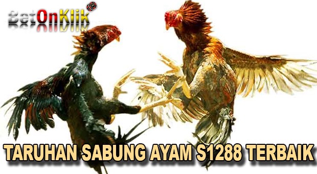 taruhan sabung ayam s1288 terbaik